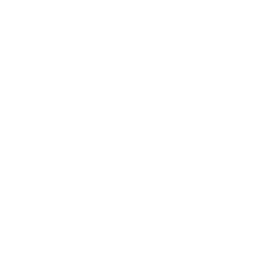 العرض المالى