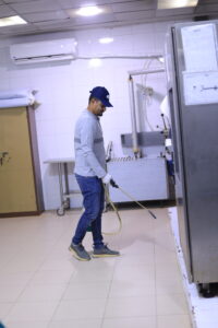 مكافحة الفئران والقوارض