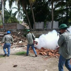 مكافحة النمل