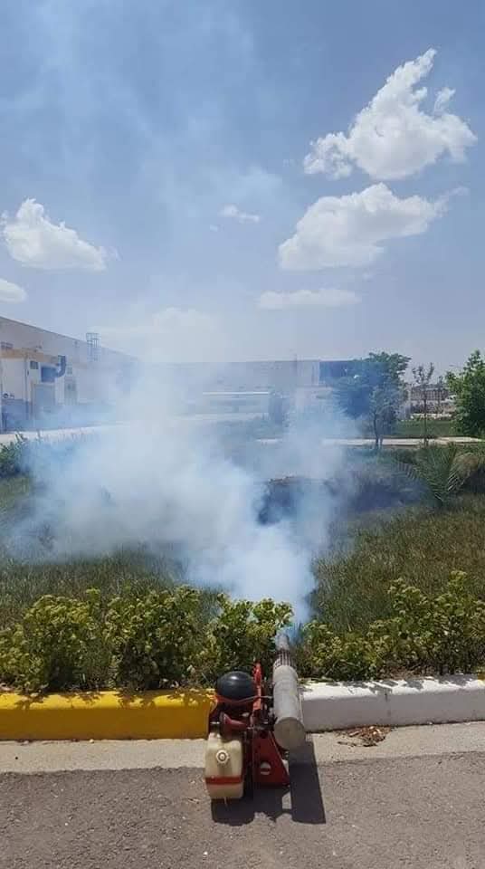 مكافحة البعوض والذباب